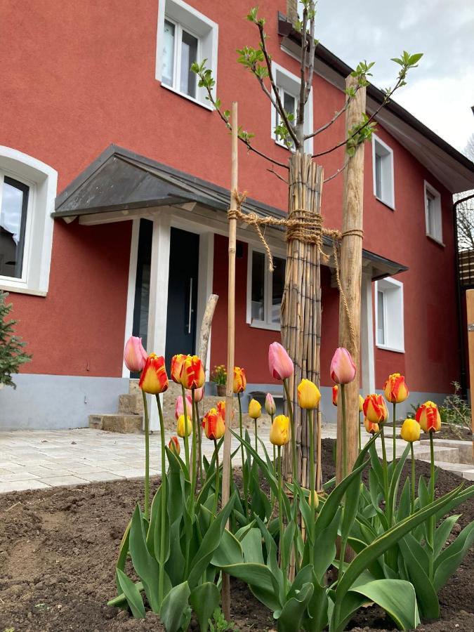 Ferienwohnung Rotes Haus 슈나이타크 외부 사진